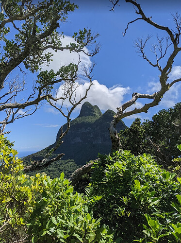 Randonnées et détente au plus près de la nature: 5 jours sur Lord Howe Island - exploringpaw