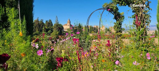 Alhambra Generalife Jardins