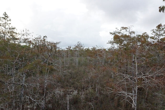 Découverte de le FLORIDE - Les KEYS & Les EVERGLADES - cartesien