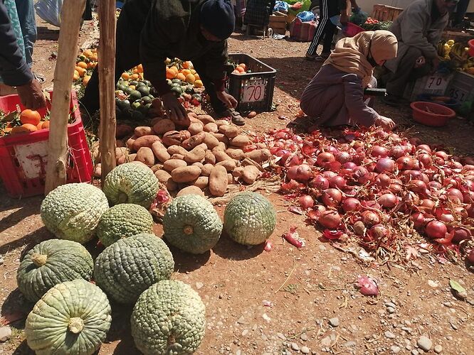 Re: Au retour de notre quinzaine dans le sud du Maroc.  - Louisa21