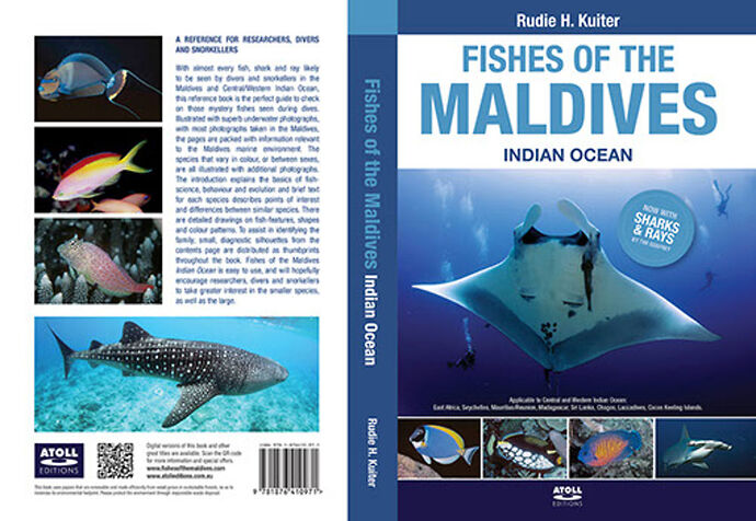 Re: Listing de la faune aquatique Maldives ?  - Philomaldives Guide Safaris
