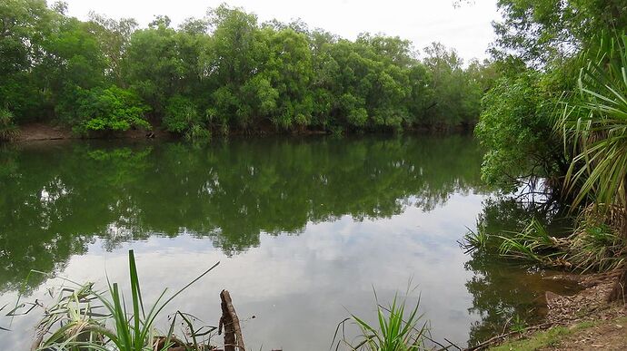 Re: Australie octobre 2017, une semaine autour de Darwin - PATOUTAILLE