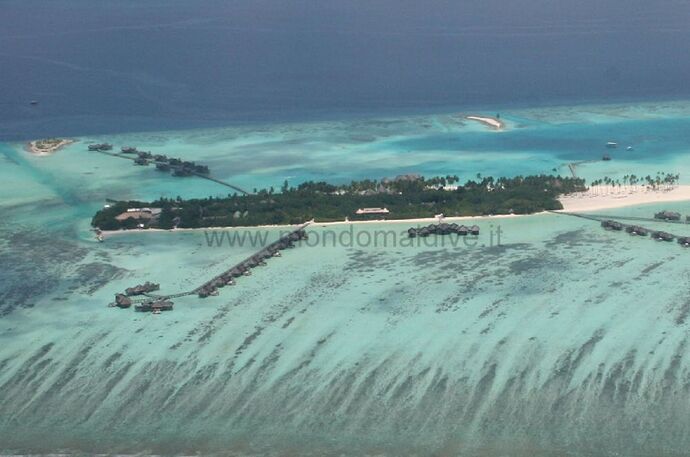 Gili Lankan fushi - Malé Nord - Philomaldives  Guide  Maldives