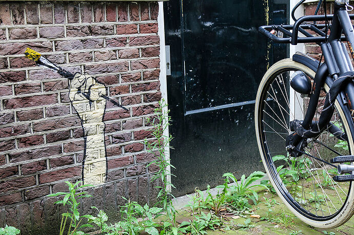 Balades street art  Amsterdam et sa Gay pride  - desclicsdebonheur