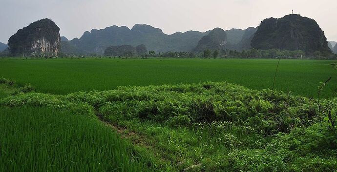 Re: Baie d'Along Terrestre - Tam Coc mi mai - chellmi