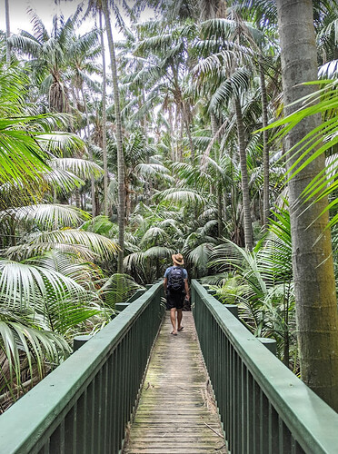 Randonnées et détente au plus près de la nature: 5 jours sur Lord Howe Island - exploringpaw