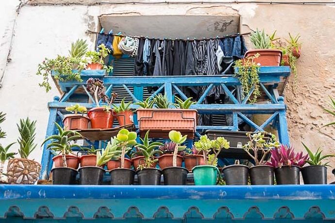 5 jours à Essaouira, une des perles de l'Atlantique, récit et photos - Sonia-Fatima Chaoui