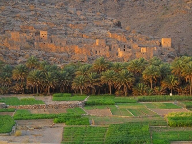 Re: Circuit de 2 semaines en 4x4 avec 3 jeunes enfants à Oman : votre avis - marie_31