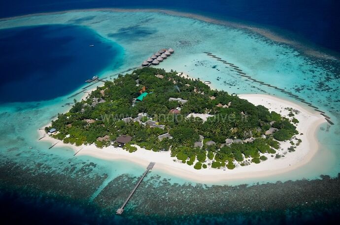 Resorts - Ari Atoll - Philomaldives  Guide  Maldives