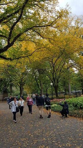 Re: L'automne à Central Park - New-York - Clemarie24