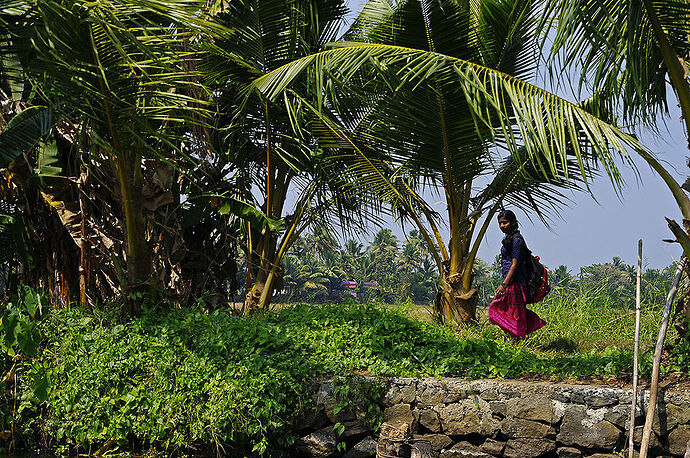 Re: Hiver Inde du Sud - Fanzi