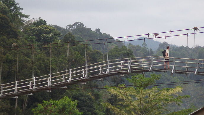 retour trekking Bukit Lawang - chgut
