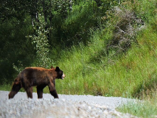 L'Ouest canadien à pleins poumons: épisode 2, l'Okanagan et la route vers la côté, via Whistler - fabienne65