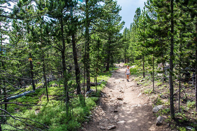 Lundi 31 Juillet – Bighorn Forest... et la surprise du chef! - darth
