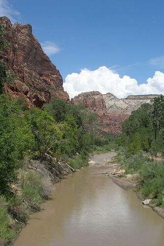 si vous faites une étape à Zion NP - Hiacinthe