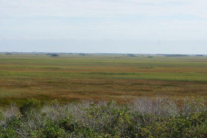 Découverte de le FLORIDE - Les KEYS & Les EVERGLADES - cartesien