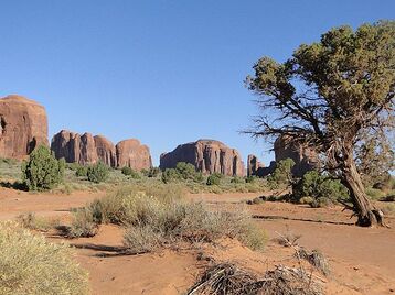 photos de Monument Valley - Eywa42