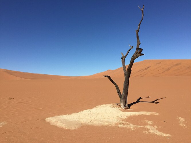 Voyage Namibie et Botswana 4 semaines sans réservations - Morchella