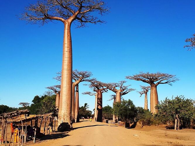 Re: Sata : chauffeur pour circuit à Madagascar - IetAD Re: Sata : chauffeur pour circuit à Madagascar - IetAD