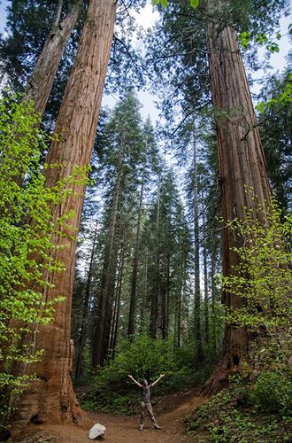 YOSEMITE NATIONAL PARK - UN RÊVE POUR LES RANDONNEURS - anaisgaujat YOSEMITE NATIONAL PARK - UN RÊVE POUR LES RANDONNEURS - anaisgaujat