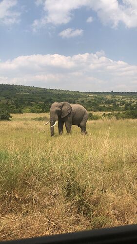 Re: Waltz Tours Safaris au Kenya - Hannah-Ahmed