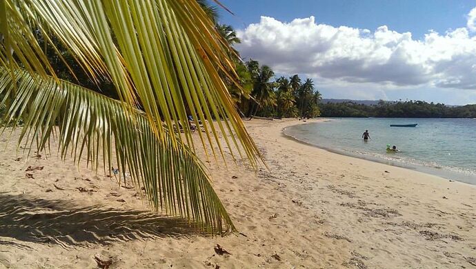 Re: Bachata et plages - carla.3762