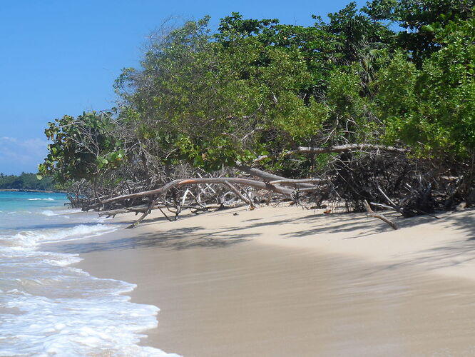 Playa Maguana - JIMINII