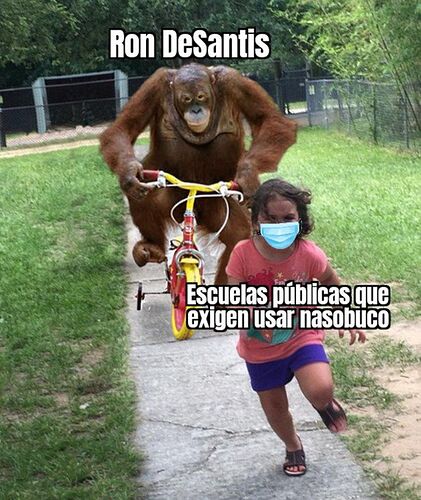 Re: Nouvelle législation concernant l'usage d'internet à Cuba - Chavitomi@mor