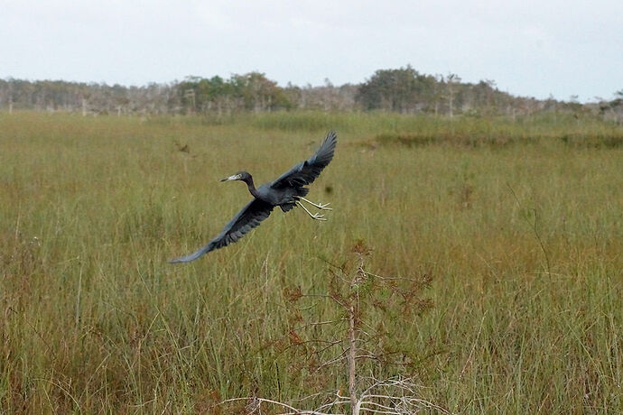 Découverte de le FLORIDE - Les KEYS & Les EVERGLADES - cartesien