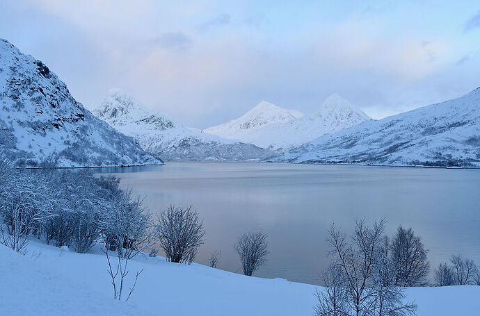 Re: De Tromsø aux îles Lofoten - 11 jours de road trip arctique - sebnella