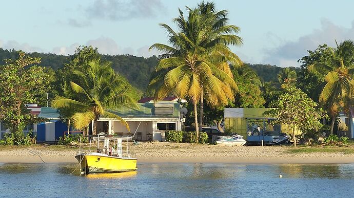 Re: Retour 2 semaines en Guadeloupe - michele87