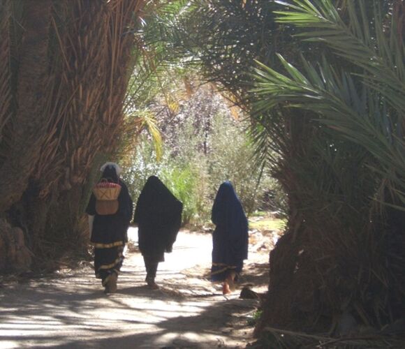 Re: Trois semaines de rêve en avril au Maroc - trostang