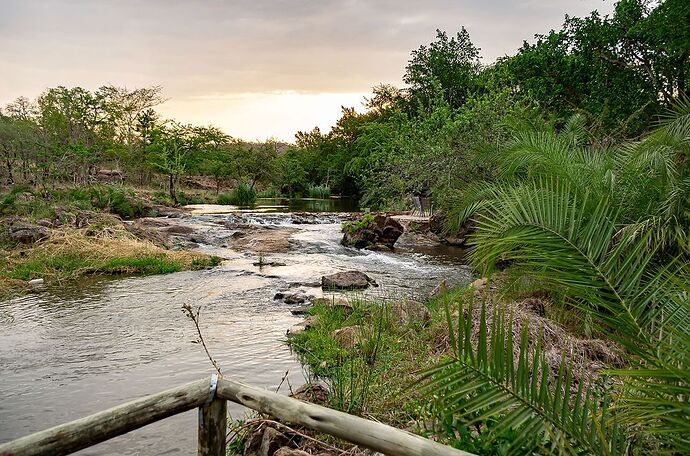 Nos deux haltes coup de coeur en Afrique du Sud et Swaziland - maia19