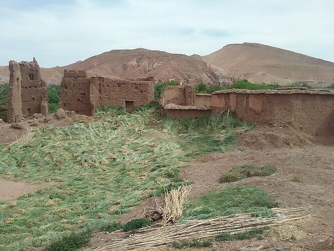 Re: Trois semaines en avril au Maroc  - trostang