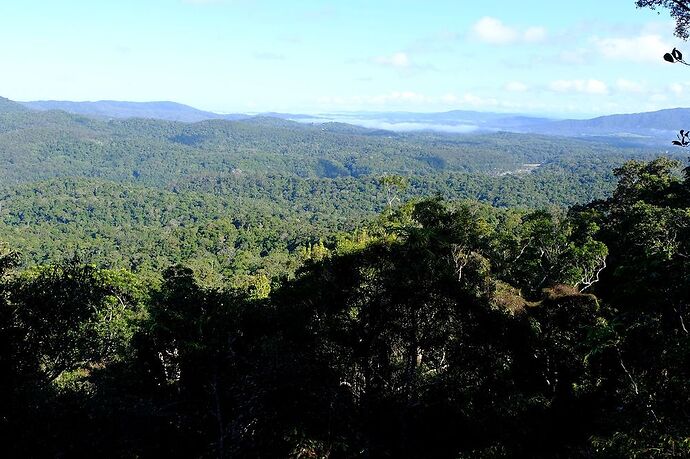 A la découverte du Tropical North Queensland - CelCed6