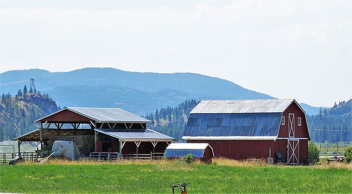 L'Ouest canadien à pleins poumons: épisode 2, l'Okanagan et la route vers la côté, via Whistler - fabienne65