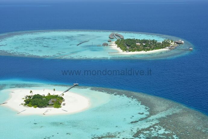 Re: Mantas et requins baleines aux Maldives ? ou et quand ? - Philomaldives Guide Safaris