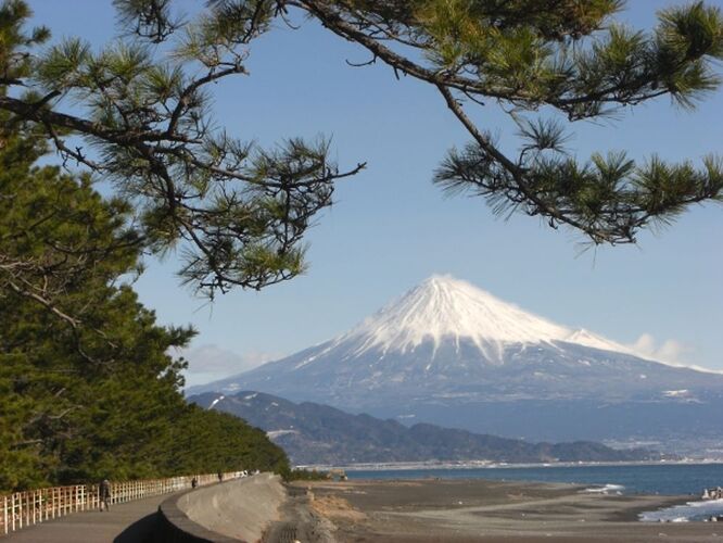 la ville de Shizuoka : thé vert et mont Fuji, entre Tokyo et Kyoto - Sebastien-de-Bourgogne