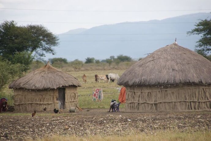 Re: La Tanzanie en avril, pendant la saison des pluies - marnaise51600