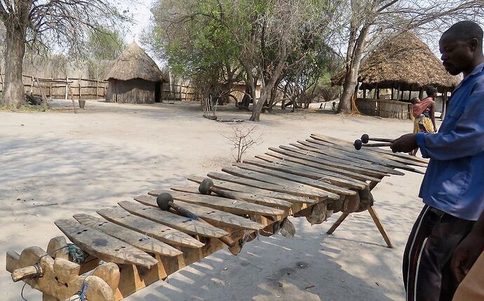 Re: NAMBOTSVIC Namibie- Botswana- Victoria Falls, 3 semaines magiques - PATOUTAILLE