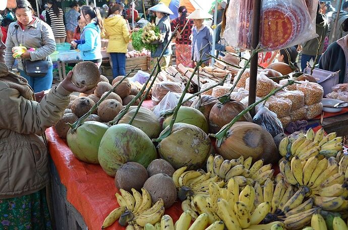 Retour d'expérience 17 jours en Birmanie du 26 janvier au 11 février: épisode 1 Yangon et Kengtung - fabienne65