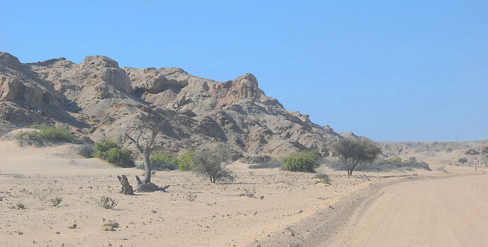 ... Moonlandscape et Welwitschia drive - llce