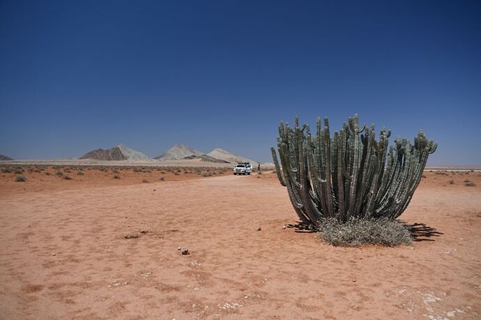 Re: Namibie - 15 jours en octobre 2018 - pascal41lc