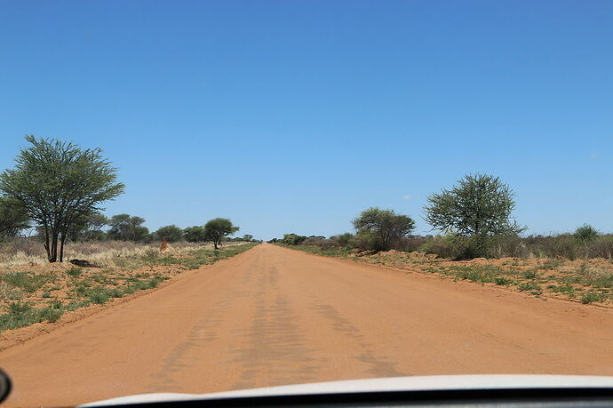 Re: La Namibie en mode tortue - Cathyves