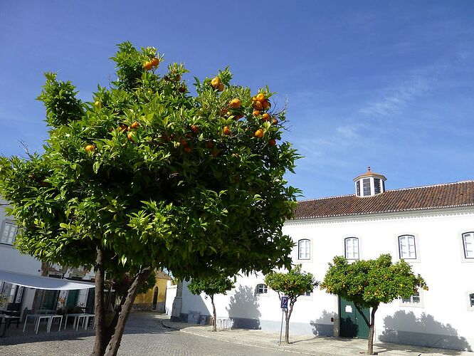 Re: Carnet de voyage, une semaine en Algarve - Fecampois
