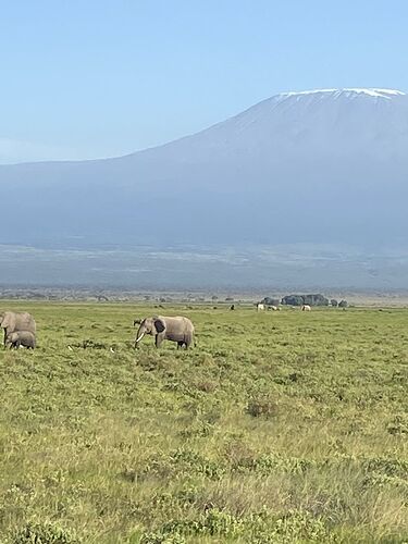 Re: Waltz Tours Safaris au Kenya - Fadelamouki