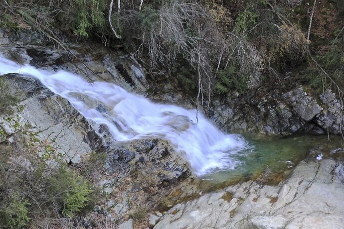 Re: Une semaine en Corse en avril avec un enfant de 7 ans - puma