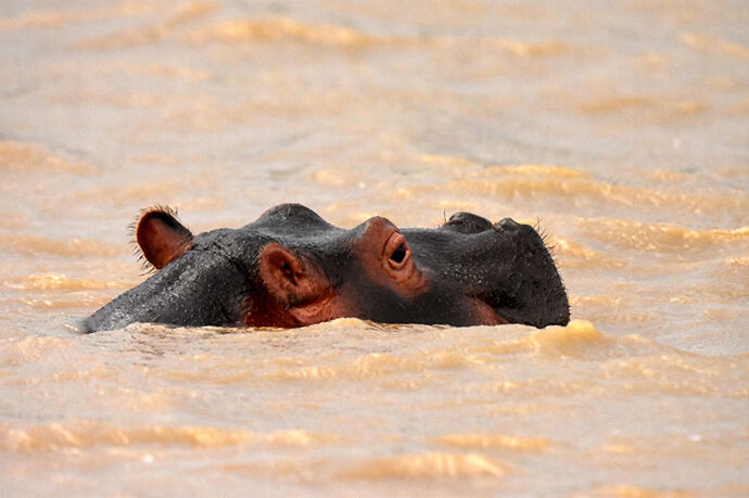 Re: Au paradis ! Compte rendu d'un voyage de 2 petites semaines en Afrique du Sud - L-argonnais Re: Au paradis ! Compte rendu d'un voyage de 2 petites semaines en Afrique du Sud - L-argonnais