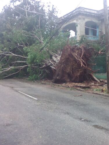 Re: Ouragan IRMA à surveiller - Revenant