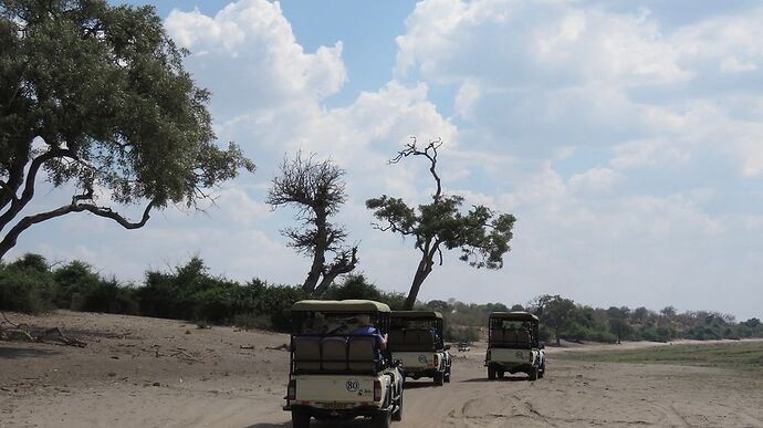 Re: NAMBOTSVIC Namibie- Botswana- Victoria Falls, 3 semaines magiques - PATOUTAILLE